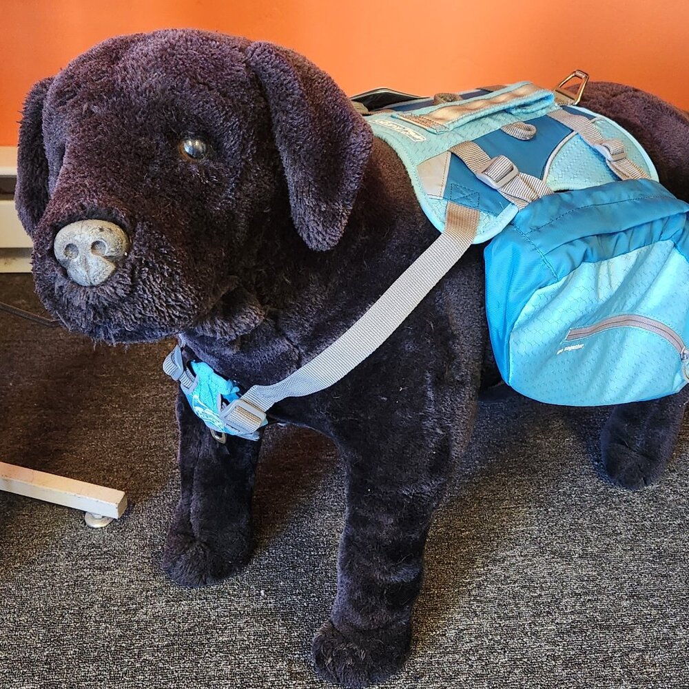 Baxter Dog Harness/Backpack